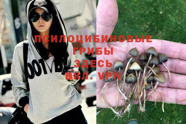гидропоника Арсеньев