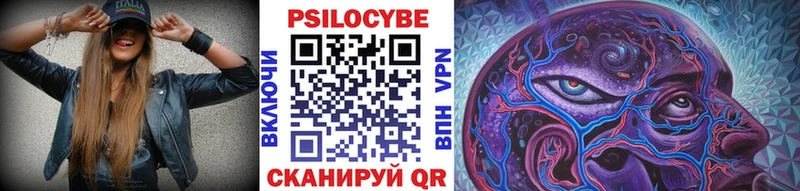 OMG вход  Мирный  Псилоцибиновые грибы мицелий 